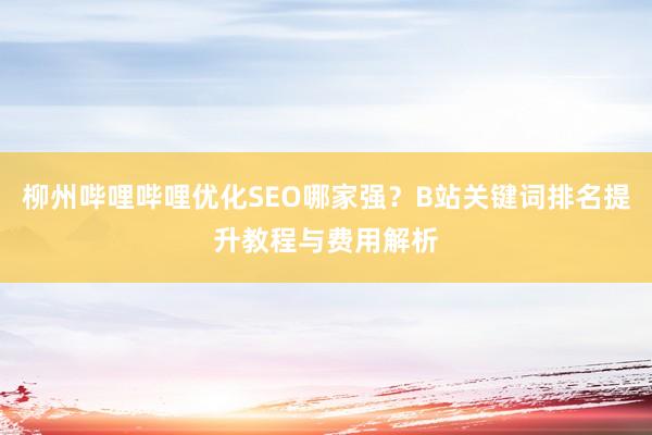 柳州哔哩哔哩优化SEO哪家强？B站关键词排名提升教程与费用解析