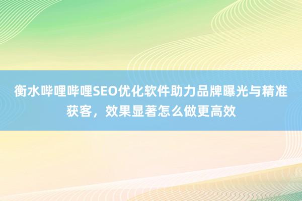 衡水哔哩哔哩SEO优化软件助力品牌曝光与精准获客，效果显著怎么做更高效