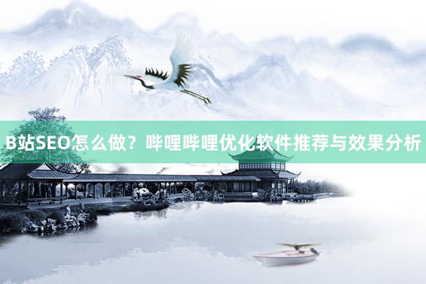 B站SEO怎么做？哔哩哔哩优化软件推荐与效果分析