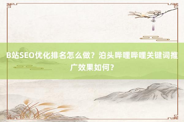 B站SEO优化排名怎么做？泊头哔哩哔哩关键词推广效果如何？