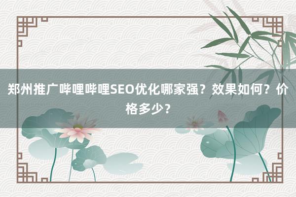郑州推广哔哩哔哩SEO优化哪家强？效果如何？价格多少？