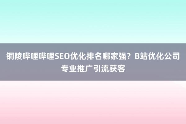 铜陵哔哩哔哩SEO优化排名哪家强？B站优化公司专业推广引流获客
