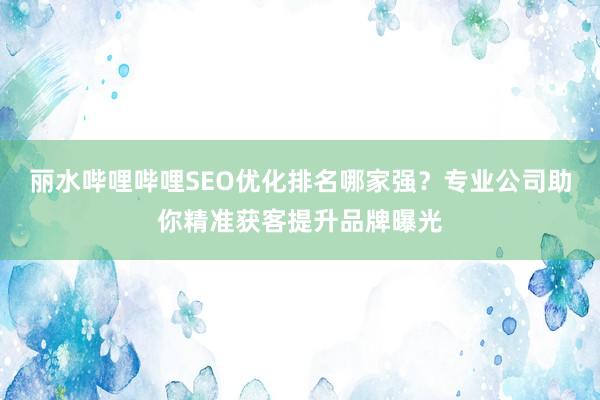 丽水哔哩哔哩SEO优化排名哪家强？专业公司助你精准获客提升品牌曝光