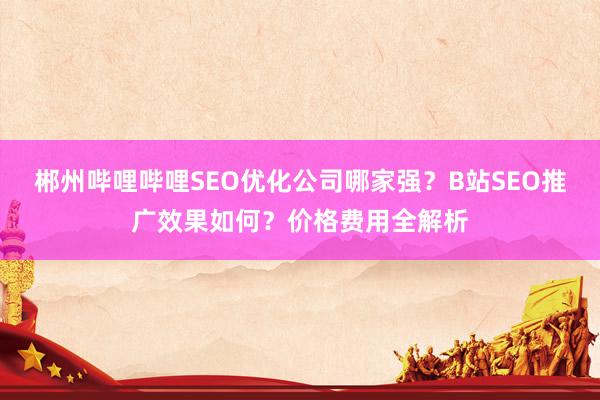 郴州哔哩哔哩SEO优化公司哪家强？B站SEO推广效果如何？价格费用全解析
