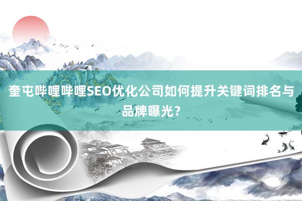 奎屯哔哩哔哩SEO优化公司如何提升关键词排名与品牌曝光？