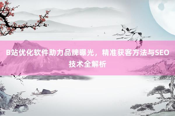 B站优化软件助力品牌曝光，精准获客方法与SEO技术全解析