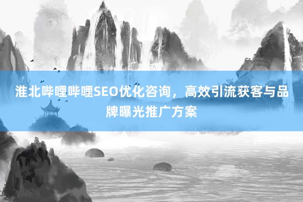 淮北哔哩哔哩SEO优化咨询，高效引流获客与品牌曝光推广方案