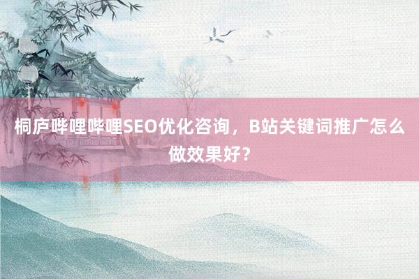 桐庐哔哩哔哩SEO优化咨询，B站关键词推广怎么做效果好？