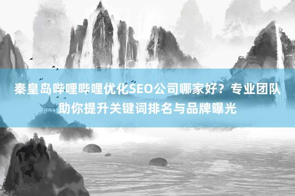秦皇岛哔哩哔哩优化SEO公司哪家好？专业团队助你提升关键词排名与品牌曝光
