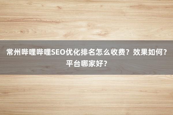 常州哔哩哔哩SEO优化排名怎么收费？效果如何？平台哪家好？