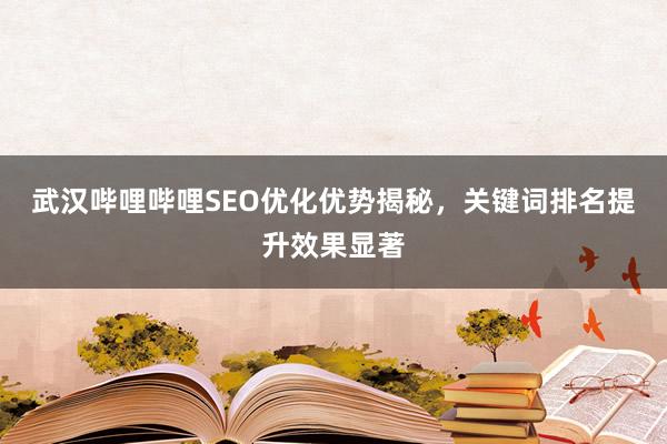 武汉哔哩哔哩SEO优化优势揭秘，关键词排名提升效果显著