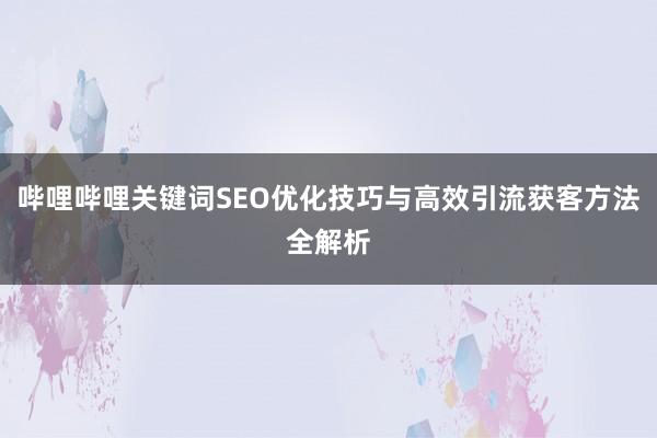 哔哩哔哩关键词SEO优化技巧与高效引流获客方法全解析