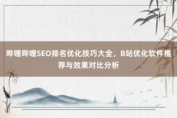 哔哩哔哩SEO排名优化技巧大全，B站优化软件推荐与效果对比分析
