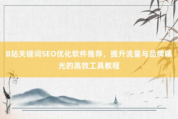 B站关键词SEO优化软件推荐，提升流量与品牌曝光的高效工具教程