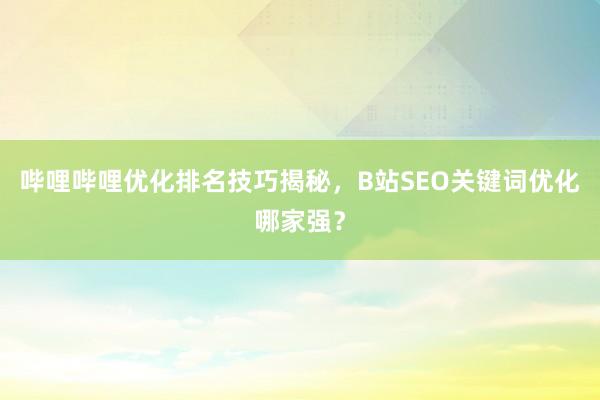 哔哩哔哩优化排名技巧揭秘，B站SEO关键词优化哪家强？