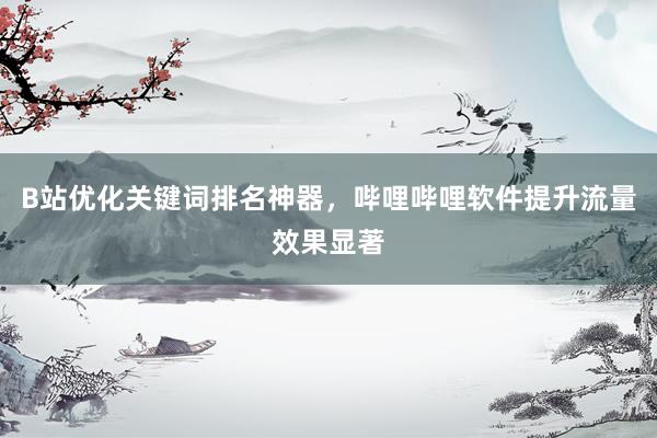 B站优化关键词排名神器，哔哩哔哩软件提升流量效果显著