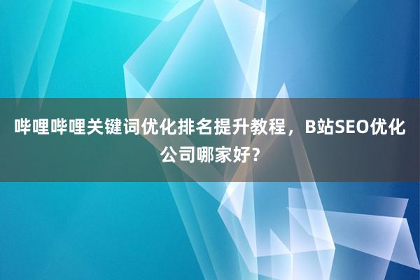 哔哩哔哩关键词优化排名提升教程，B站SEO优化公司哪家好？