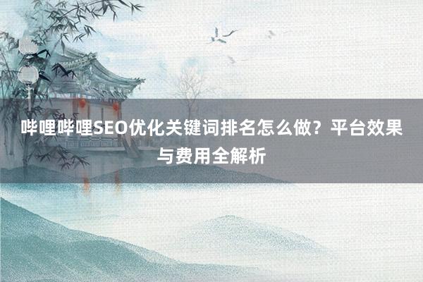 哔哩哔哩SEO优化关键词排名怎么做？平台效果与费用全解析