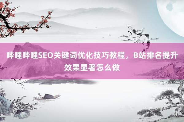 哔哩哔哩SEO关键词优化技巧教程，B站排名提升效果显著怎么做