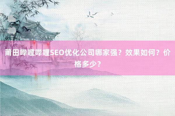 莆田哔哩哔哩SEO优化公司哪家强？效果如何？价格多少？