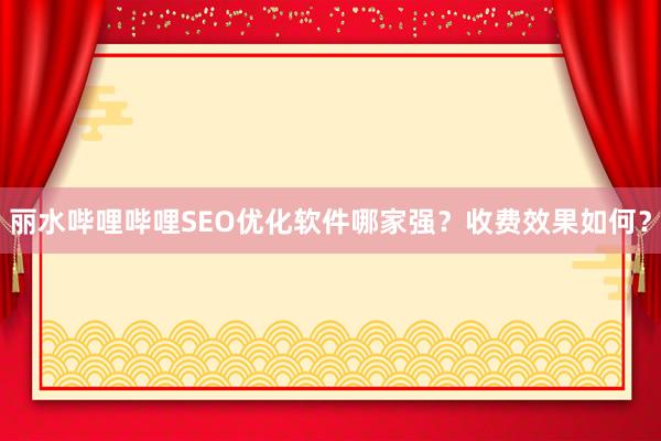 丽水哔哩哔哩SEO优化软件哪家强？收费效果如何？