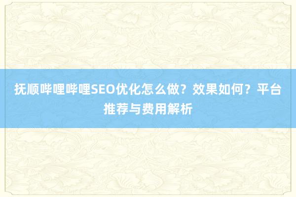 抚顺哔哩哔哩SEO优化怎么做？效果如何？平台推荐与费用解析