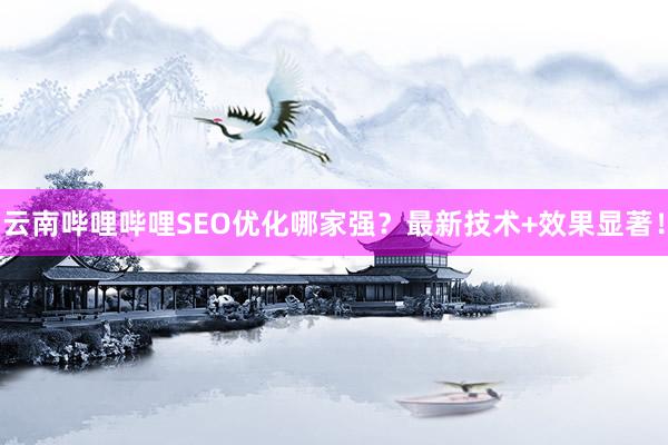 云南哔哩哔哩SEO优化哪家强？最新技术+效果显著！