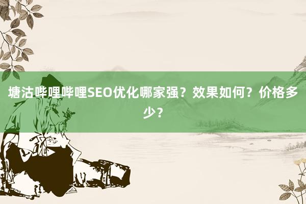 塘沽哔哩哔哩SEO优化哪家强？效果如何？价格多少？