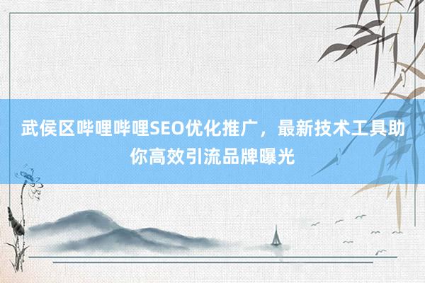 武侯区哔哩哔哩SEO优化推广，最新技术工具助你高效引流品牌曝光