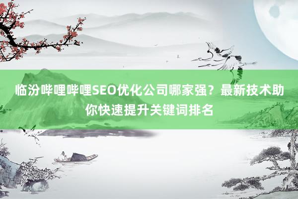 临汾哔哩哔哩SEO优化公司哪家强？最新技术助你快速提升关键词排名
