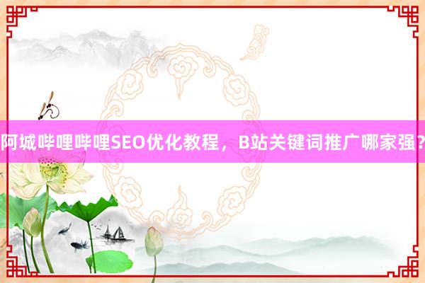 阿城哔哩哔哩SEO优化教程，B站关键词推广哪家强？