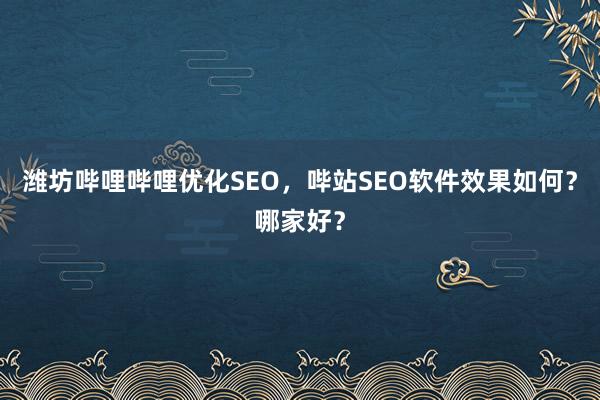 潍坊哔哩哔哩优化SEO，哔站SEO软件效果如何？哪家好？