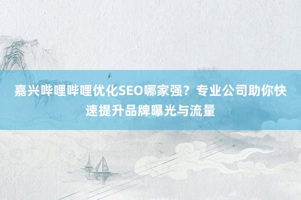 嘉兴哔哩哔哩优化SEO哪家强？专业公司助你快速提升品牌曝光与流量