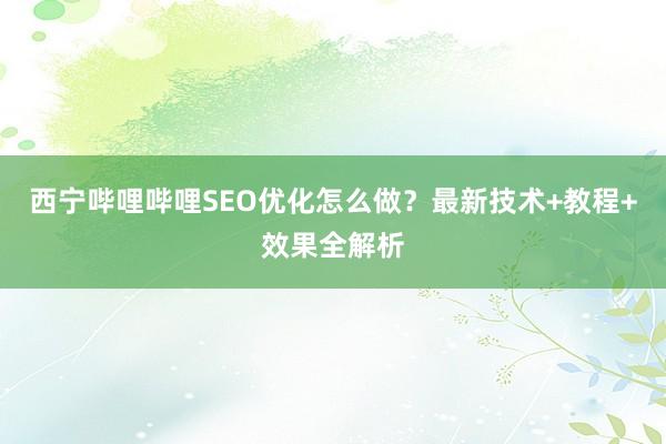 西宁哔哩哔哩SEO优化怎么做？最新技术+教程+效果全解析