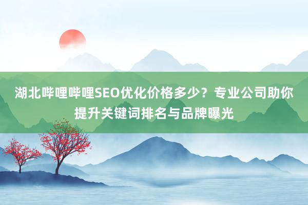 湖北哔哩哔哩SEO优化价格多少？专业公司助你提升关键词排名与品牌曝光
