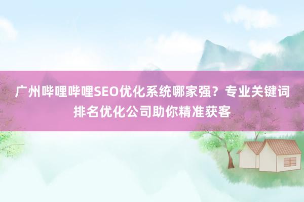 广州哔哩哔哩SEO优化系统哪家强？专业关键词排名优化公司助你精准获客