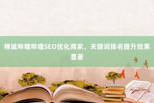 禅城哔哩哔哩SEO优化商家，关键词排名提升效果显著