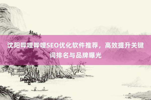 沈阳哔哩哔哩SEO优化软件推荐，高效提升关键词排名与品牌曝光