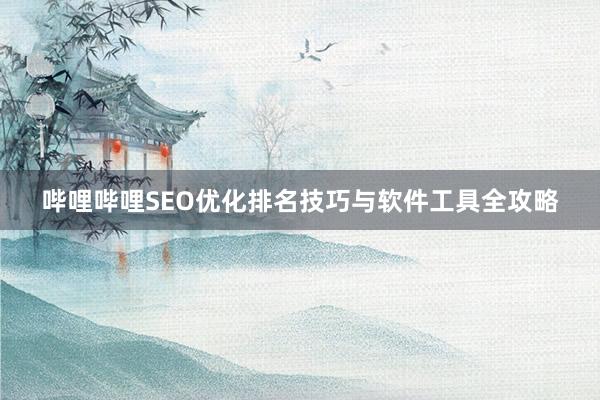 哔哩哔哩SEO优化排名技巧与软件工具全攻略