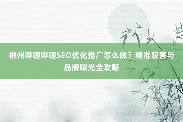 郴州哔哩哔哩SEO优化推广怎么做？精准获客与品牌曝光全攻略