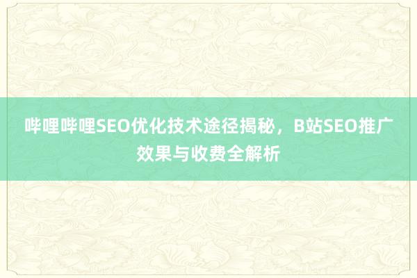 哔哩哔哩SEO优化技术途径揭秘，B站SEO推广效果与收费全解析