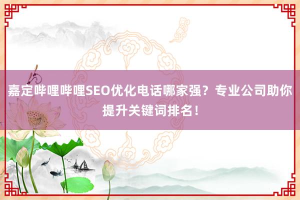嘉定哔哩哔哩SEO优化电话哪家强？专业公司助你提升关键词排名！
