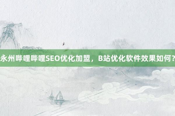 永州哔哩哔哩SEO优化加盟，B站优化软件效果如何？