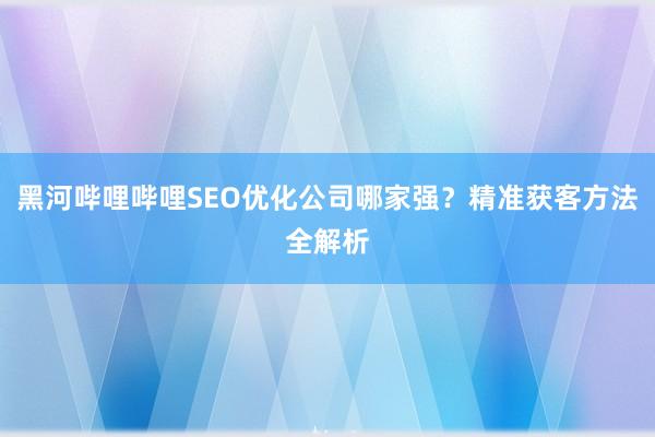 黑河哔哩哔哩SEO优化公司哪家强？精准获客方法全解析