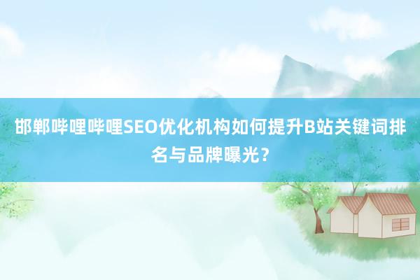 邯郸哔哩哔哩SEO优化机构如何提升B站关键词排名与品牌曝光？