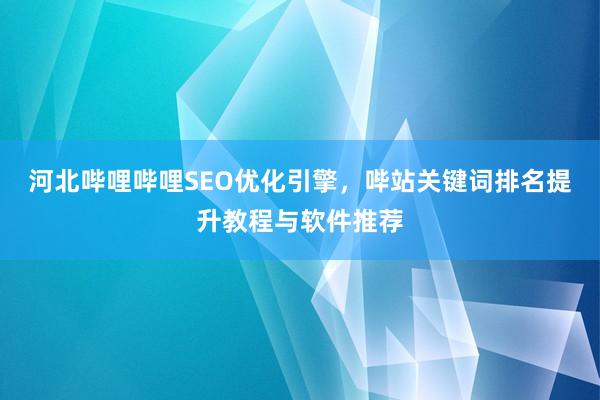 河北哔哩哔哩SEO优化引擎，哔站关键词排名提升教程与软件推荐