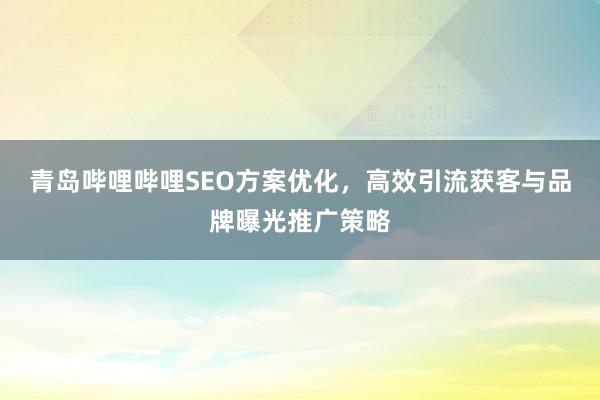 青岛哔哩哔哩SEO方案优化，高效引流获客与品牌曝光推广策略