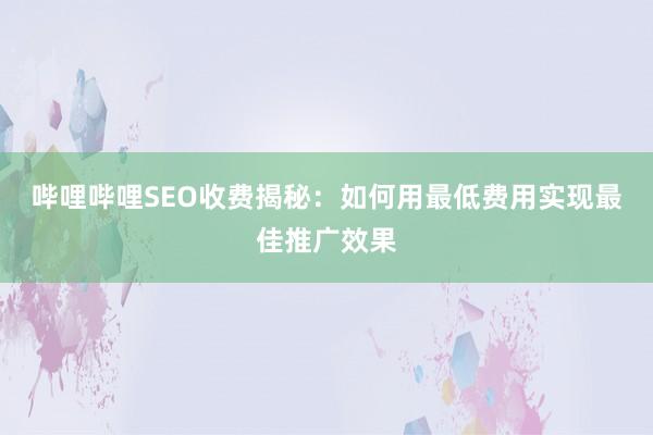 哔哩哔哩SEO收费揭秘：如何用最低费用实现最佳推广效果