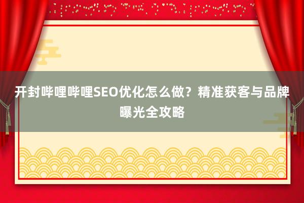 开封哔哩哔哩SEO优化怎么做？精准获客与品牌曝光全攻略