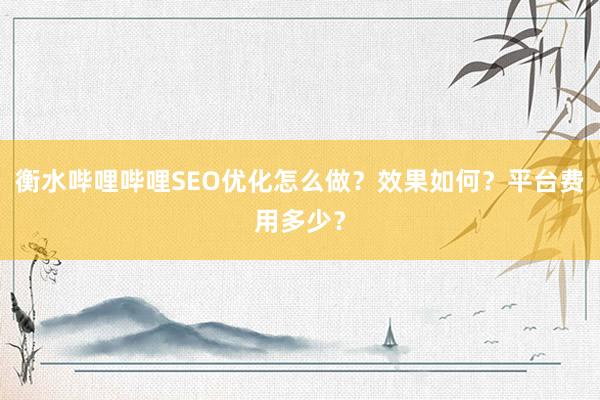 衡水哔哩哔哩SEO优化怎么做？效果如何？平台费用多少？